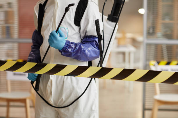 Professional Sewage Cleanup technician working in Avoca, PA